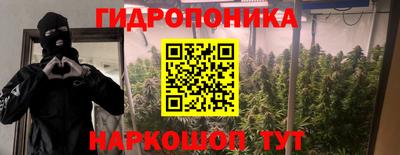 jwh Гусь-Хрустальный