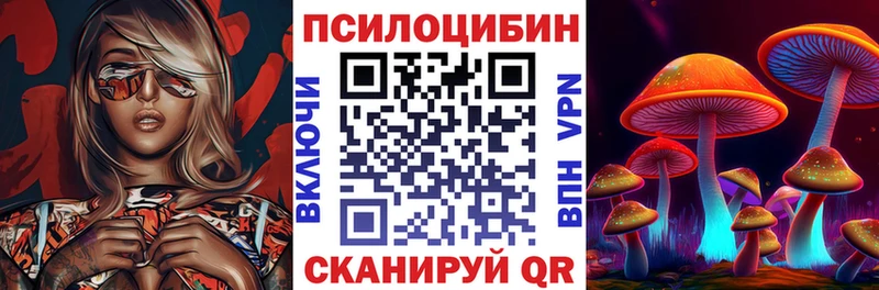 Псилоцибиновые грибы Psilocybe Ковров