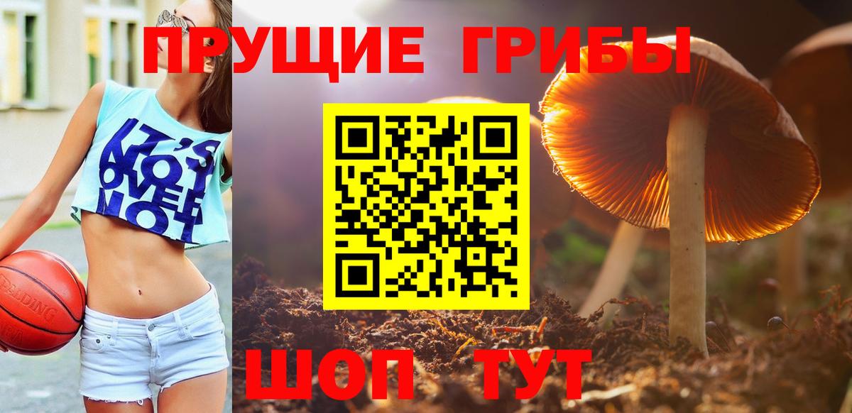 Псилоцибиновые грибы Magic Shrooms Ковров