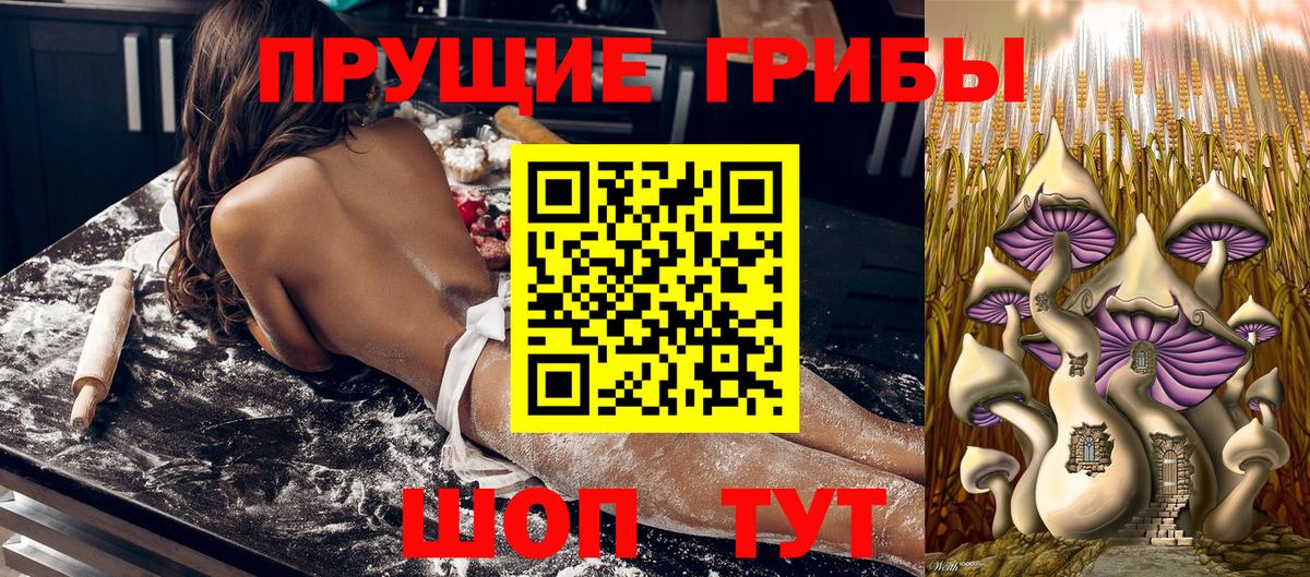 Псилоцибиновые грибы Psilocybe  Вход с VPN  Ковров 