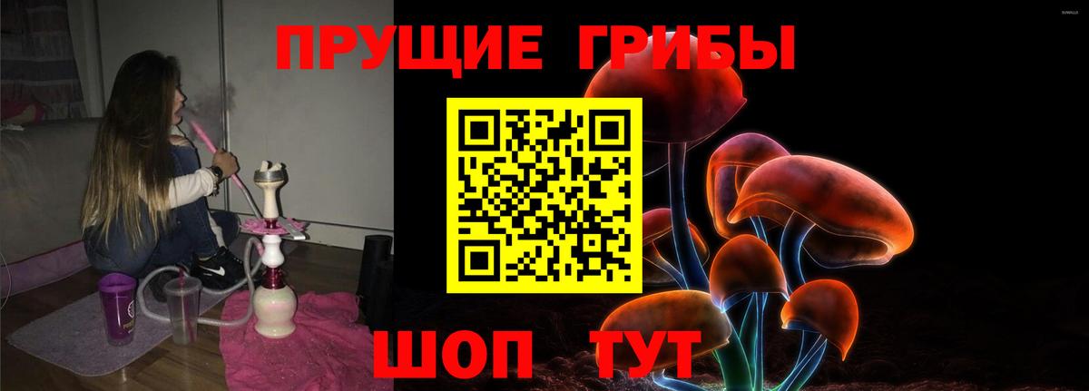 Псилоцибиновые грибы Psilocybine cubensis Ковров